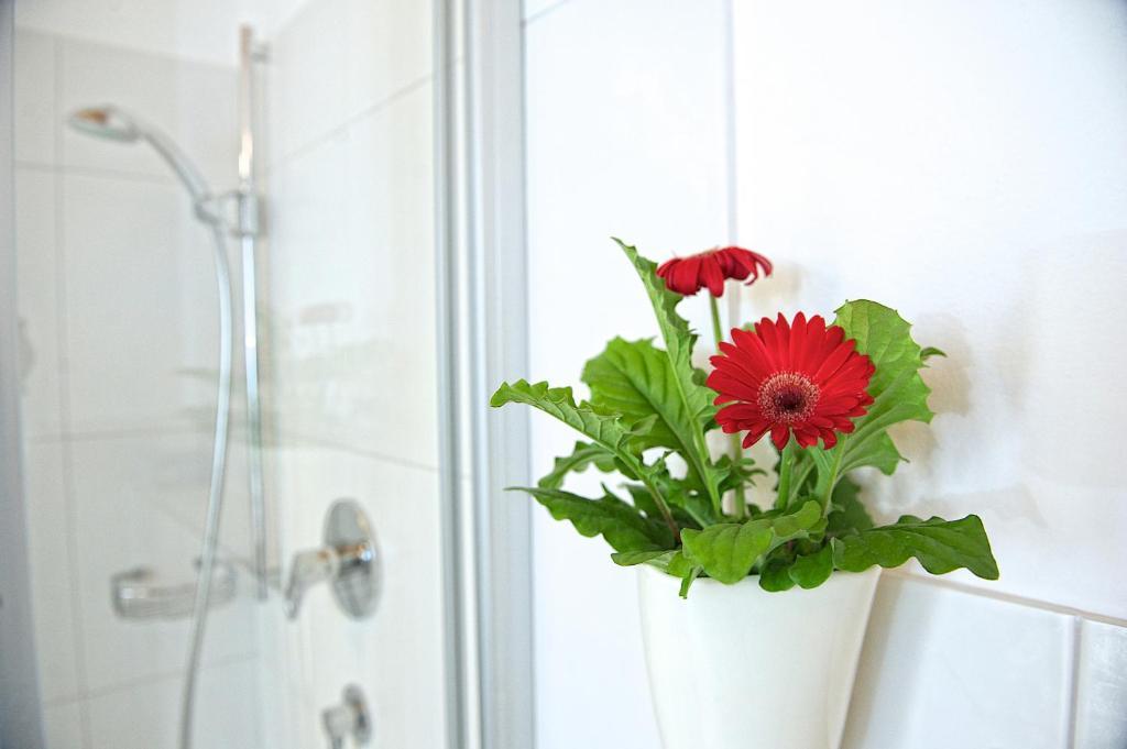 Greenhome Appartement Niedernsill Rum bild