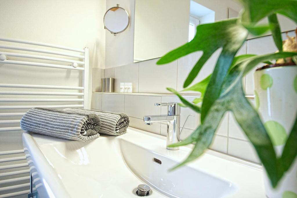 Greenhome Appartement Niedernsill Rum bild